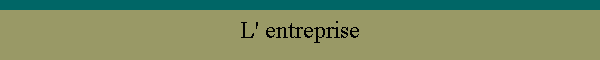 L' entreprise